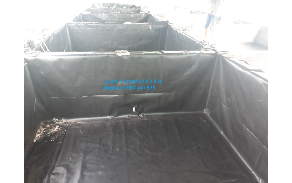 Nu&ocirc;i t&ocirc;m trong bể xi măng mang lại hiệu quả kinh tế cao